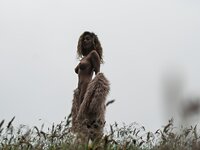 gillian barnes leaked pics photo 19