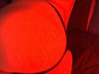 liddolpet exclusive onlyfans leaked nudes photo 76