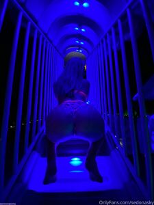 Sedonasky exclusive onlyfans leaked nudes photo 21