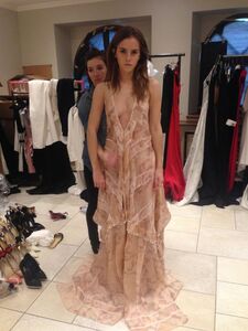 Super Hot Emma Watson Nudes Leaked on the Internet photo 33