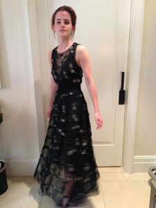 Super Hot Emma Watson Nudes Leaked on the Internet photo 39