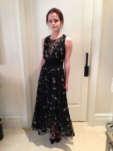 Super Hot Emma Watson Nudes Leaked on the Internet photo 40
