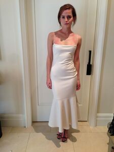 Super Hot Emma Watson Nudes Leaked on the Internet photo 42