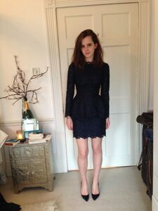 Super Hot Emma Watson Nudes Leaked on the Internet photo 47