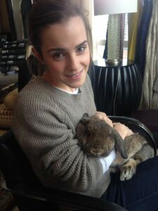 Super Hot Emma Watson Nudes Leaked on the Internet photo 75