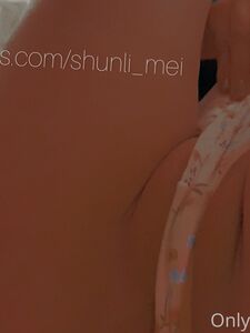 Shunli_Mei Onlyfans Premium Leaks photo 110