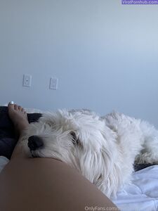 Thecollegestripper Latest Onlyfans Premium Leaks photo 3