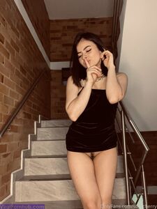 Soycherry Latest Onlyfans Premium Leaks photo 105