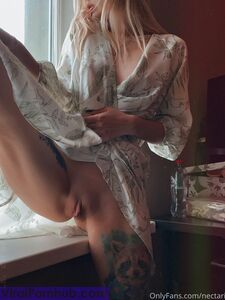Nectarinka Onlyfans Leaks Album photo 23