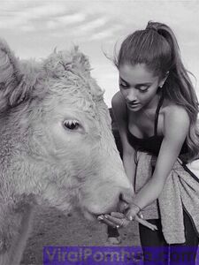 Ariana Grande Nude Leaks photo 116