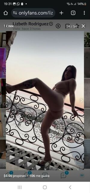 Lizbeth Rodriguez Nude Photos photo 116