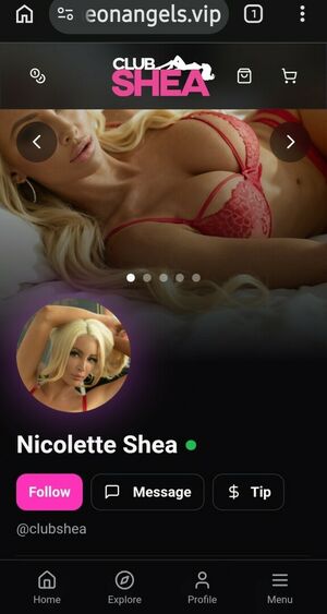 Nicolette Shea Nude Photos photo 40