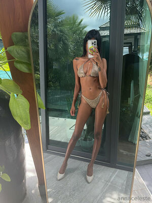Anna Celeste Nude Photos photo 71