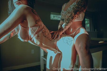 Likethebugortheletter Nude Photos photo 269