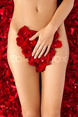 Red Rose Nude Photos photo 1