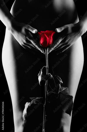 Red Rose Nude Photos photo 11