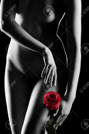 Red Rose Nude Photos photo 14