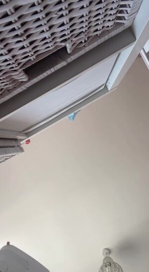 Petitesneakylink Nude Photos photo 22
