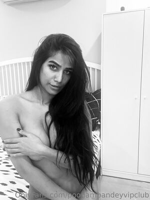 PoonamPandeyTV Nude Photos photo 40