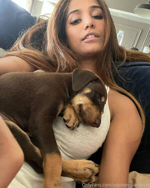 PoonamPandeyTV Nude Photos photo 91