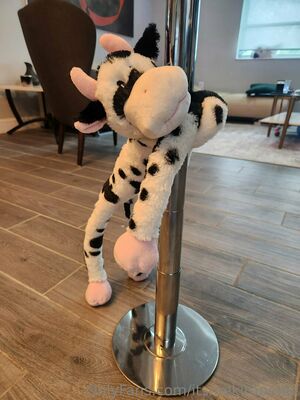 Itsmekiraperez Nude Photos photo 225