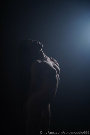 SpicyNoodle666 Nude Photos photo 27