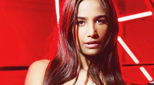 Poonam Pandey Nude Photos photo 40