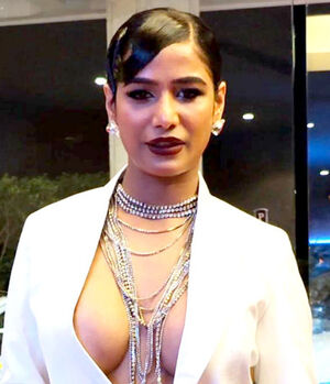 Poonam Pandey Nude Photos photo 53