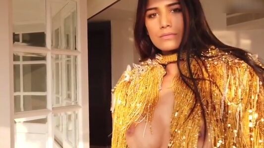 Poonam Pandey Nude Photos photo 56