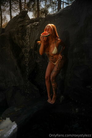 Roxy Stylez Nude Photos photo 46