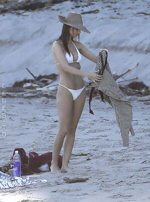 Emily Ratajkowski Nude Photos photo 88