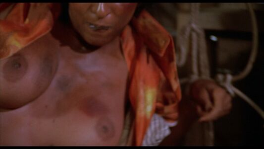 Foxy Brown Nude Photos photo 22