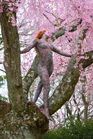 Cherry Blossom Nude Photos photo 142