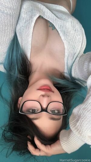 Harriet Sugarcookie Nude Photos photo 71