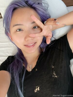 Harriet Sugarcookie Nude Photos photo 213