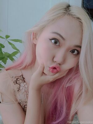 Harriet Sugarcookie Nude Photos photo 217