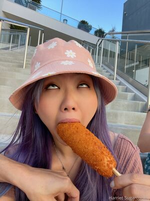 Harriet Sugarcookie Nude Photos photo 257