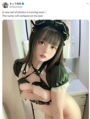 Nikumikyo Nude Photos photo 191