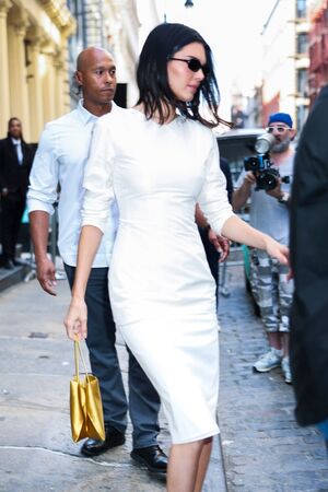 Kendall Jenner Nude Photos photo 25