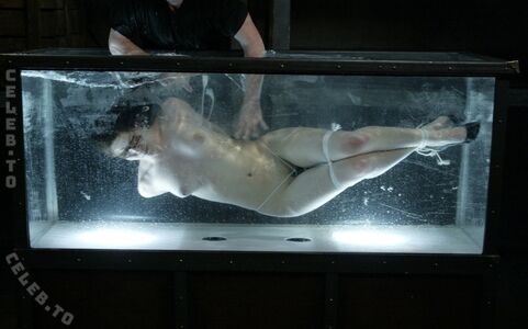 Bobbi Starr Nude Photos photo 42