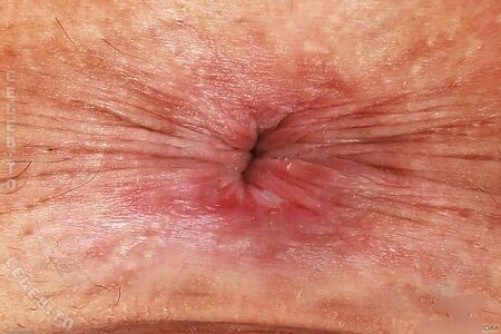 Ari Alectra Nude Photos photo 11