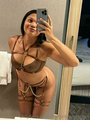 Michelleanderson Nude Photos photo 162