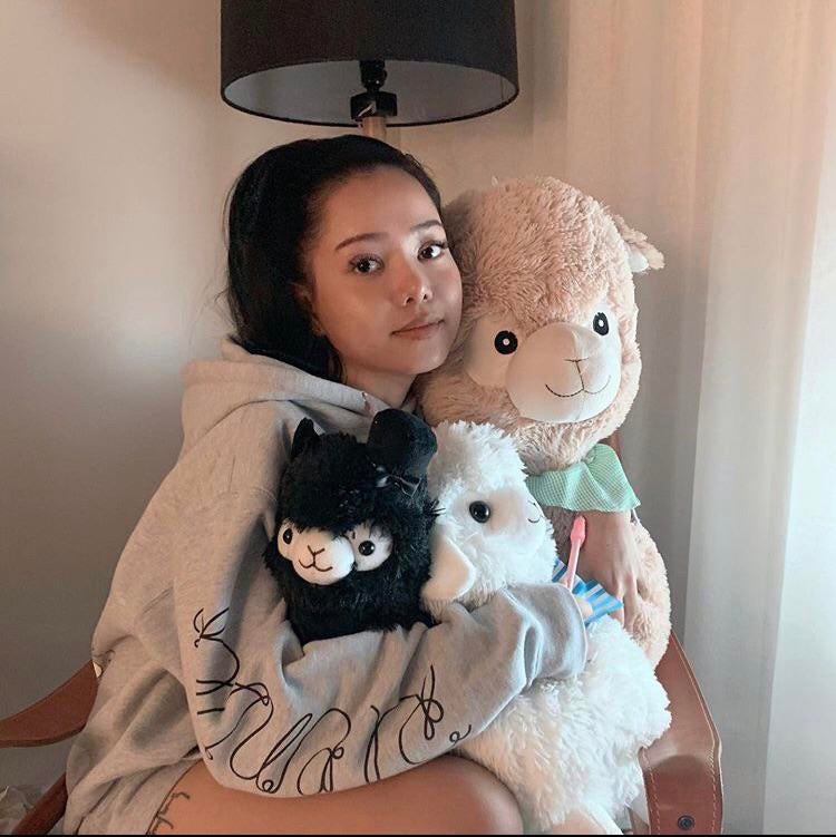 Bella Poarch Hugging her alpacas