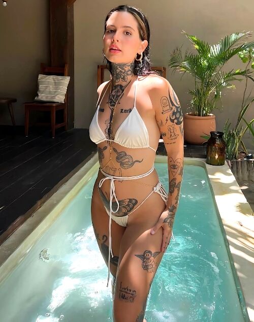 Brookemarkhaa