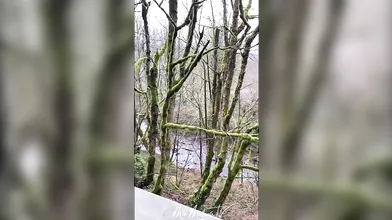 Mia Malkova Onlyfans Blowjob In The Woods Video Leaked