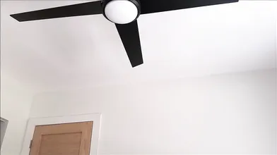 Little Stepsister Renee Rose Moves In To Have Sex With Her Stepbrother