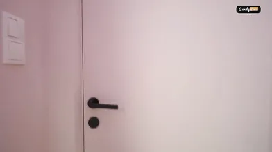 The Hot Roommate Gets A Creampie After The Party