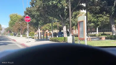 VioletRayOfficial's Steamy Hitchhiker Pickup and Outdoor Fun