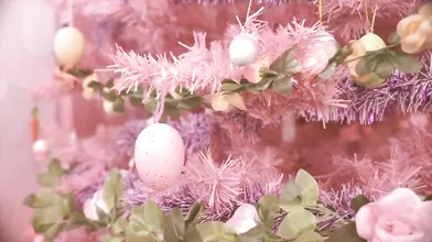 Easter Bunny Madisonmorgan's Wild BBC Encounter