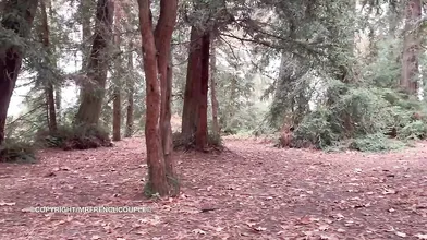 Marine Rossi Masturbating Outdoors